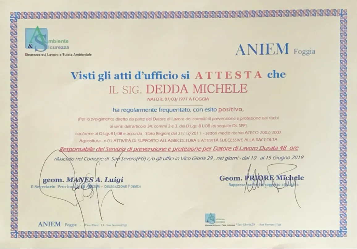 Certificato 6